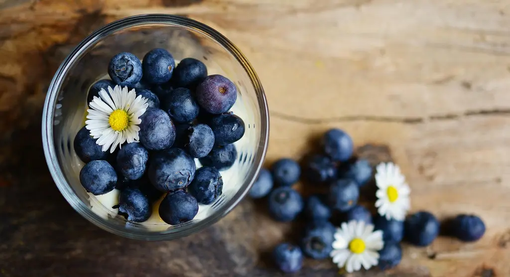 Nutrición y Sabor: El Arte de Sazonar Saludablemente